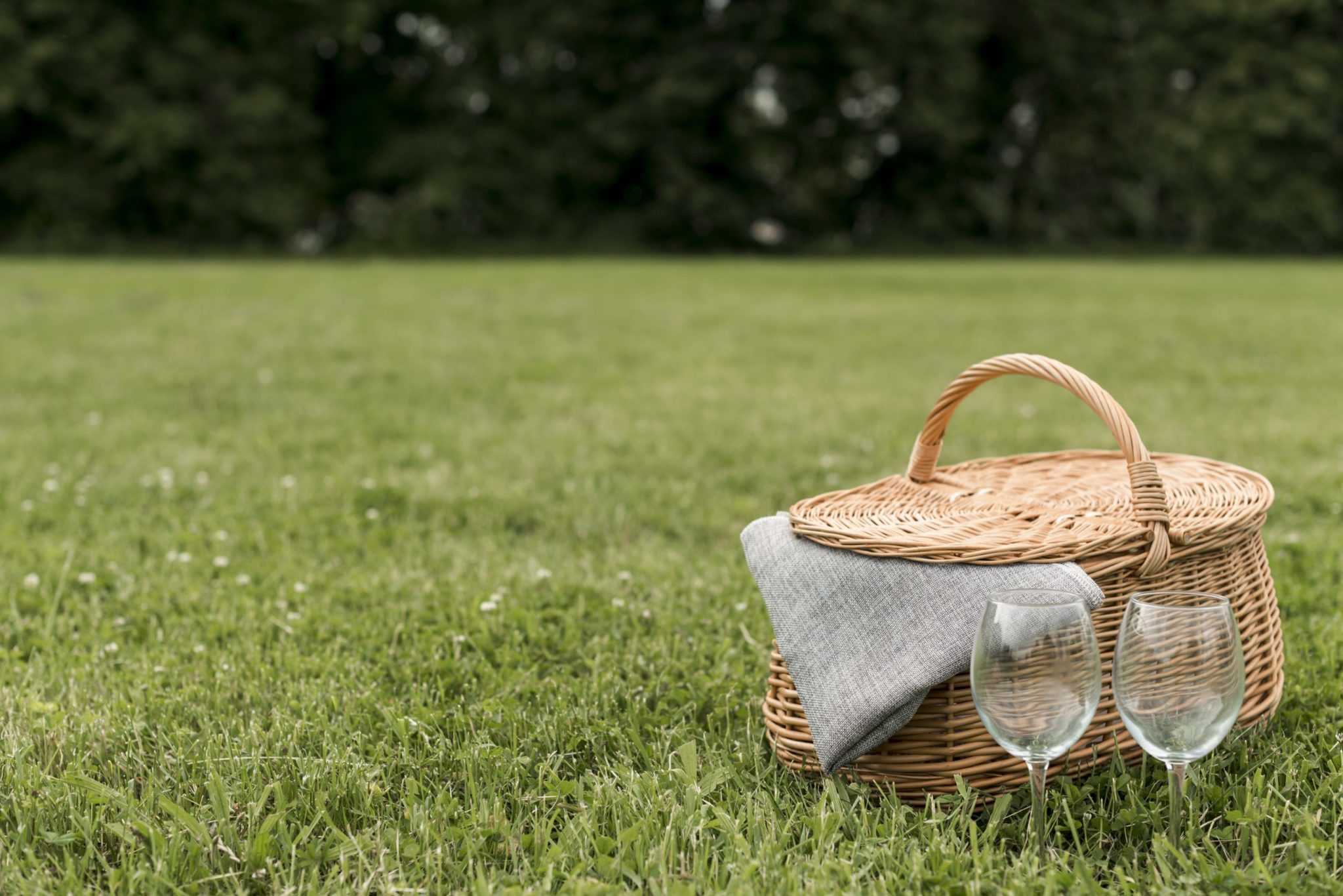 Корзинка для пикника лежащая на траве